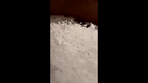 Snapshot of txcouple281 chatting on November 16, 2025, 8:53 am txcouple281 online show from November 16, 2025, 8:53 am