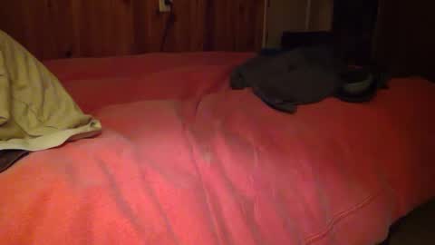 Snapshot of useemie chatting on January 18, 2025, 7:17 am useemie online show from January 18, 2025, 7:17 am