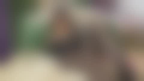 Snapshot of vanessajos chatting on September 25, 2025, 6:06 am Vanessa online show from September 25, 2025, 6:06 am