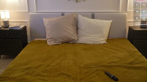 Snapshot of viktoria_storm chatting on February 10, 2025, 6:31 am Alisa online show from February 10, 2025, 6:31 am