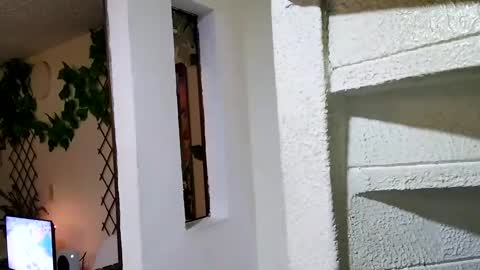 Snapshot of waningrosee chatting on January 4, 2025, 2:25 am Waningrose  Lu online show from January 4, 2025, 2:25 am