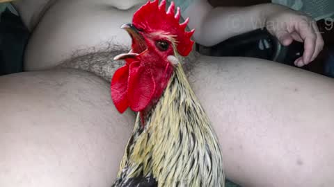 Snapshot of watcher_9 chatting on December 24, 2024, 11:33 pm classified online show from December 24, 2024, 11:33 pm