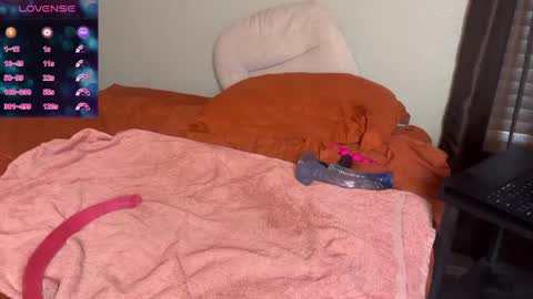 Snapshot of whiskey60 chatting on September 14, 2025, 2:27 pm Radek and Stella St. Rose online show from September 14, 2025, 2:27 pm