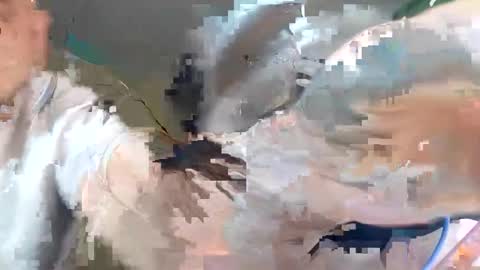 Snapshot of wikibitch chatting on October 10, 2025, 9:25 pm WikiBitch online show from October 10, 2025, 9:25 pm