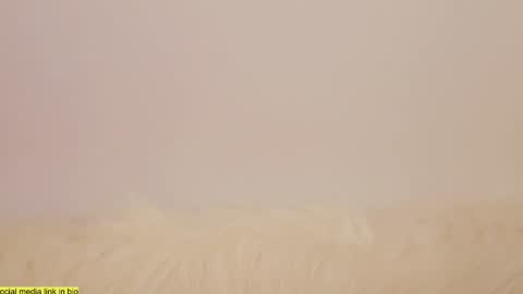 Snapshot of wild_schoolgirl chatting on January 13, 2025, 10:24 pm wild_schoolgirl online show from January 13, 2025, 10:24 pm