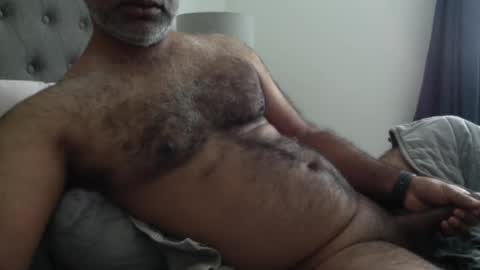 Snapshot of wildhungry chatting on October 3, 2025, 9:56 pm wildhungry online show from October 3, 2025, 9:56 pm