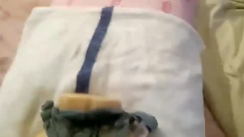 Snapshot of wood6957 chatting on November 1, 2025, 12:29 pm wood6957 online show from November 1, 2025, 12:29 pm