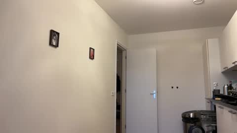 Snapshot of wsvogel chatting on January 23, 2025, 1:56 pm joejoe online show from January 23, 2025, 1:56 pm