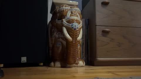 Snapshot of x6er chatting on November 4, 2025, 1:54 pm Just gucken und Mitwixerinnen finden. online show from November 4, 2025, 1:54 pm