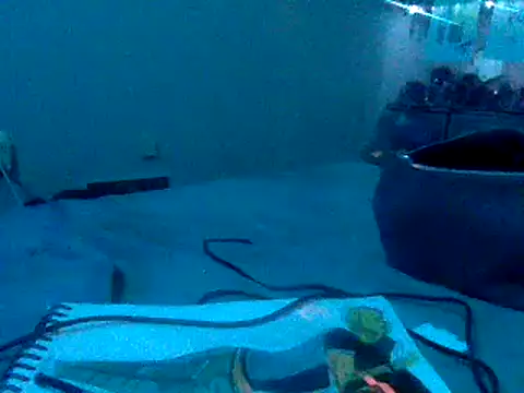 Snapshot of Fr4nk1eFFuxxx chatting on January 3, 2025, 9:36 am Fr4nk1eFFuxxx online show from January 3, 2025, 9:36 am