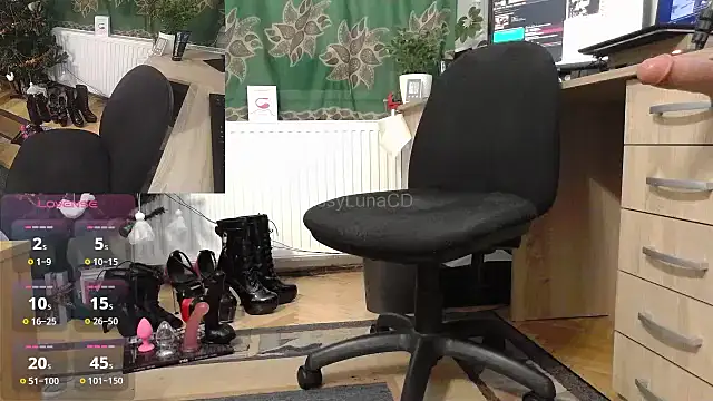 Snapshot of SissyLunaCD chatting on January 8, 2025, 7:56 pm SissyLunaCD online show from January 8, 2025, 7:56 pm