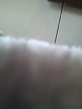 Snapshot of biboii chatting on February 8, 2025, 3:00 pm biboii online show from February 8, 2025, 3:00 pm