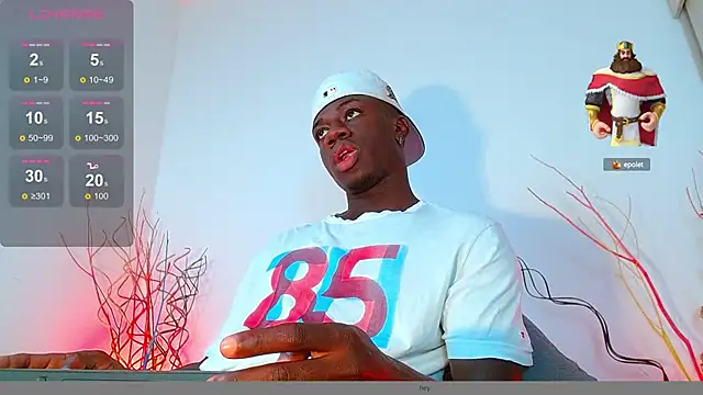 Snapshot of mike_wallace chatting on December 7, 2024, 7:54 pm mike wallace online show from December 7, 2024, 7:54 pm