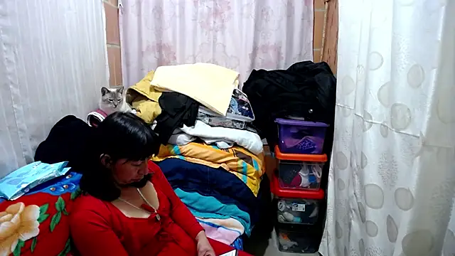 Snapshot of Malaya88 chatting on February 13, 2025, 3:50 am Malaya88 online show from February 13, 2025, 3:50 am