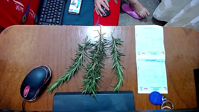 Snapshot of Malaya88 chatting on February 16, 2025, 4:42 pm Malaya88 online show from February 16, 2025, 4:42 pm