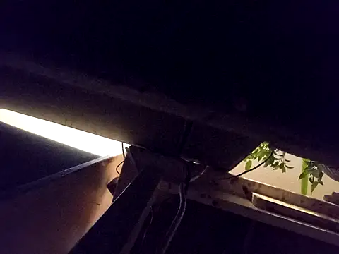 Snapshot of Daminou28 chatting on October 19, 2025, 11:16 pm Daminou28 online show from October 19, 2025, 11:16 pm