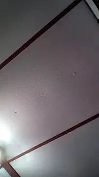 Snapshot of xDestineeXX chatting on December 30, 2024, 2:31 am xDestineeXX online show from December 30, 2024, 2:31 am