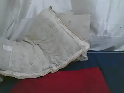 Snapshot of sweet-bery chatting on February 9, 2025, 9:28 pm sweet-bery online show from February 9, 2025, 9:28 pm