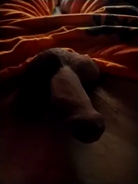 Snapshot of Luiz_097 chatting on September 13, 2025, 6:46 am Luiz 097 online show from September 13, 2025, 6:46 am