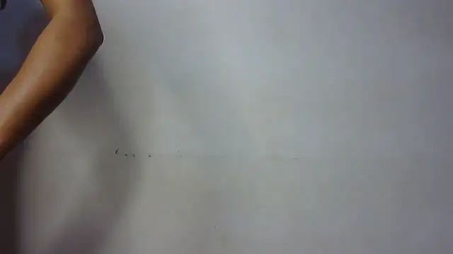 Snapshot of seema_raani chatting on January 24, 2025, 3:34 pm seema raani online show from January 24, 2025, 3:34 pm