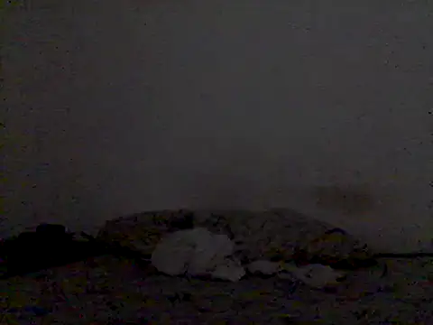 Snapshot of mariy_ chatting on March 3, 2025, 9:48 pm mariy  online show from March 3, 2025, 9:48 pm