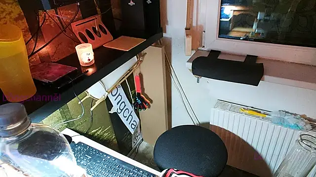 BongChannel online show from January 12, 2025, 3:17 am