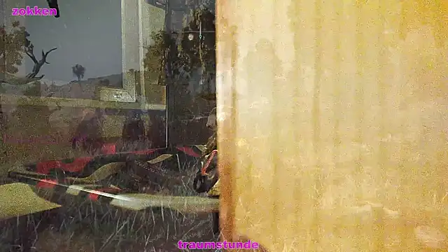 BongChannel online show from January 21, 2025, 6:43 am