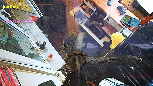 BongChannel online show from March 9, 2025, 3:54 am