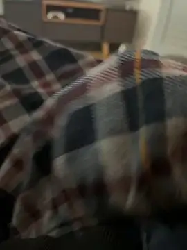 Snapshot of RowdyAlfie233 chatting on February 6, 2025, 2:55 am RowdyAlfie233 online show from February 6, 2025, 2:55 am