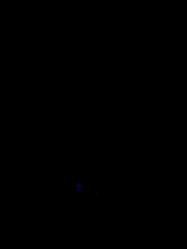 Snapshot of RIP_Curl chatting on October 17, 2025, 6:49 am RIP Curl online show from October 17, 2025, 6:49 am