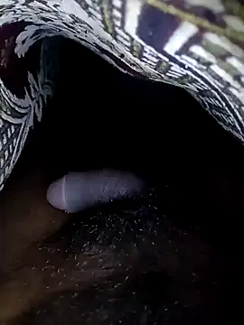 Snapshot of Sweety_Tamil_boy chatting on December 26, 2024, 6:54 pm Sweety Tamil boy online show from December 26, 2024, 6:54 pm