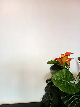 Snapshot of JemaimaPrincess chatting on March 21, 2025, 11:22 am JemaimaPrincess online show from March 21, 2025, 11:22 am