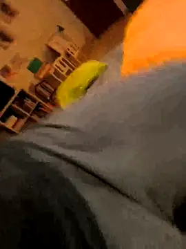 Snapshot of onbifeet chatting on October 9, 2025, 6:17 pm onbifeet online show from October 9, 2025, 6:17 pm