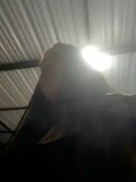 Snapshot of aliensexy chatting on December 25, 2024, 4:33 am aliensexy online show from December 25, 2024, 4:33 am