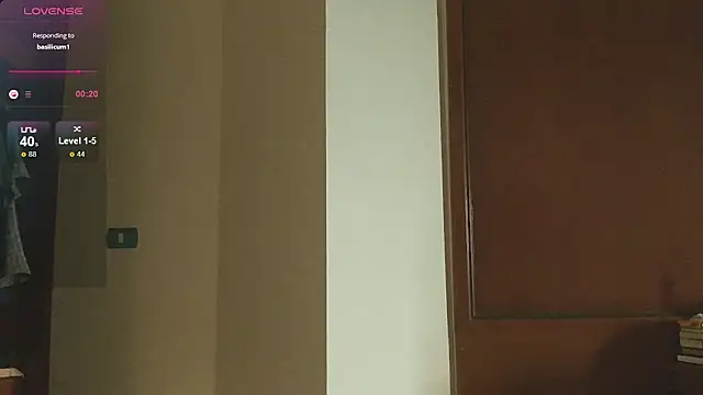 Snapshot of sadetuiningaa chatting on March 22, 2025, 11:42 pm sadetuiningaa online show from March 22, 2025, 11:42 pm