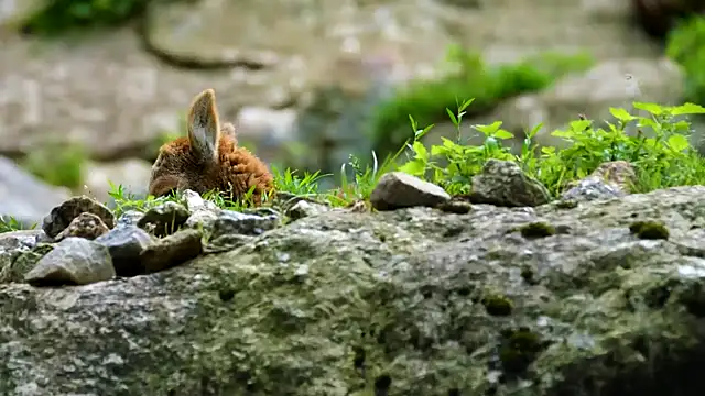 Snapshot of streamy_test11 chatting on September 9, 2025, 9:20 am streamy test11 online show from September 9, 2025, 9:20 am