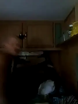 Snapshot of tjmacksjr chatting on October 4, 2025, 7:01 pm tjmacksjr online show from October 4, 2025, 7:01 pm