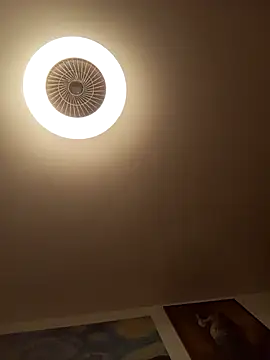 Snapshot of kgmrossetti4 chatting on November 7, 2025, 4:07 pm kgmrossetti4 online show from November 7, 2025, 4:07 pm