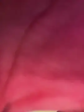 Snapshot of izanmiller2001 chatting on October 8, 2025, 7:33 pm izanmiller2001 online show from October 8, 2025, 7:33 pm