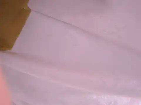 Snapshot of tatsumi_nao chatting on January 22, 2025, 11:32 pm tatsumi nao online show from January 22, 2025, 11:32 pm