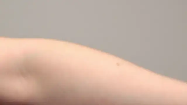 Snapshot of AliceMunro chatting on January 25, 2025, 1:32 am AliceMunro online show from January 25, 2025, 1:32 am