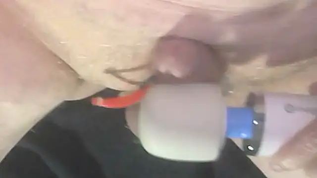 Snapshot of trittico chatting on October 9, 2025, 1:47 am trittico online show from October 9, 2025, 1:47 am