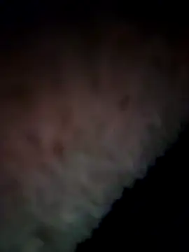 Snapshot of 07YUKIO chatting on December 31, 2024, 3:31 pm 07YUKIO online show from December 31, 2024, 3:31 pm