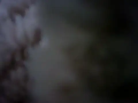 Snapshot of 07YUKIO chatting on January 24, 2025, 10:08 pm 07YUKIO online show from January 24, 2025, 10:08 pm