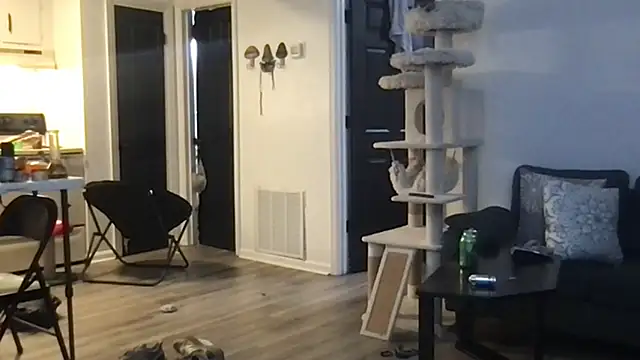 Snapshot of SpunCandy chatting on October 1, 2025, 4:29 am SpunCandy online show from October 1, 2025, 4:29 am