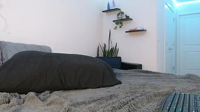 Snapshot of fallongrayxo chatting on March 8, 2025, 11:28 pm fallongrayxo online show from March 8, 2025, 11:28 pm