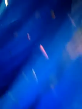 Snapshot of sneha_rose chatting on September 8, 2025, 5:12 pm sneha rose online show from September 8, 2025, 5:12 pm