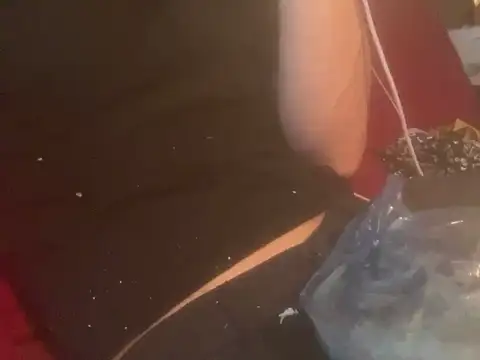 Snapshot of skatebored chatting on January 26, 2025, 4:51 pm skatebored online show from January 26, 2025, 4:51 pm