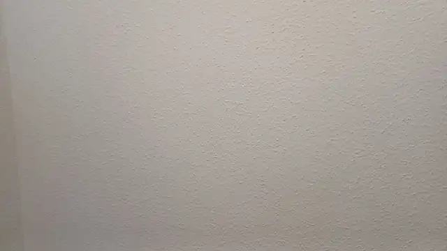 Snapshot of Bigass_skir chatting on December 7, 2024, 7:21 pm Bigass skir online show from December 7, 2024, 7:21 pm