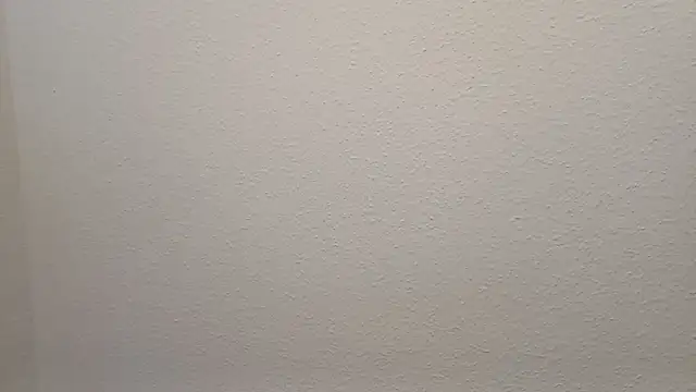 Snapshot of Bigass_skir chatting on January 30, 2025, 6:00 pm Bigass skir online show from January 30, 2025, 6:00 pm